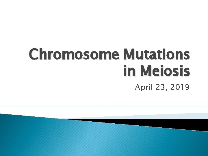 Chromosome Mutations in Meiosis April 23, 2019 