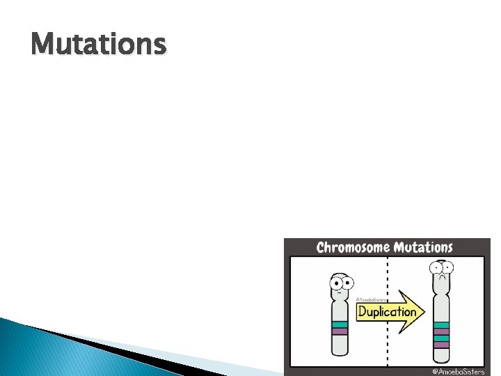 Mutations 