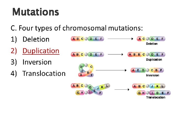 Some types of chromosome Mutations mutations 