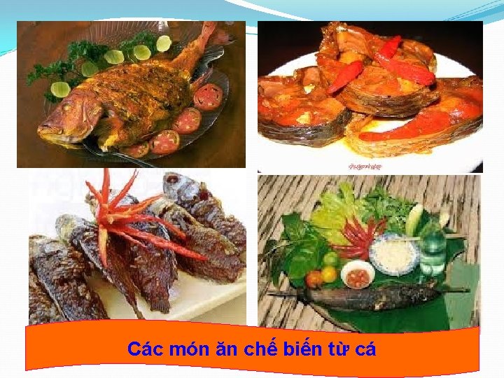 Các món ăn chế biến từ cá 