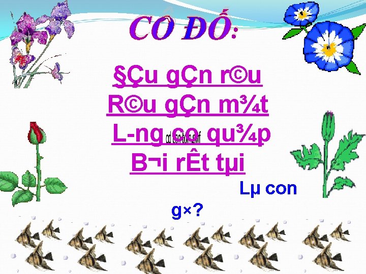 CÔ ĐỐ: §Çu gÇn r©u R©u gÇn m¾t L ng co qu¾p B¬i rÊt