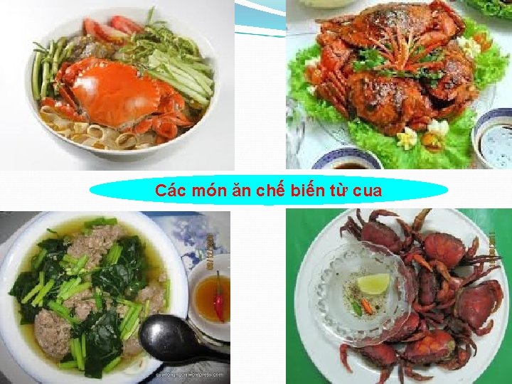 Các món ăn chế biến từ cua 