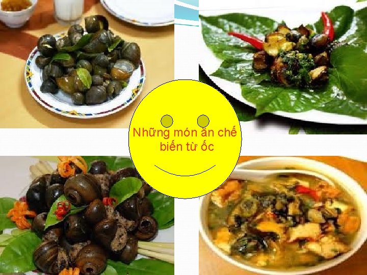 Những món ăn chế biến từ ốc 