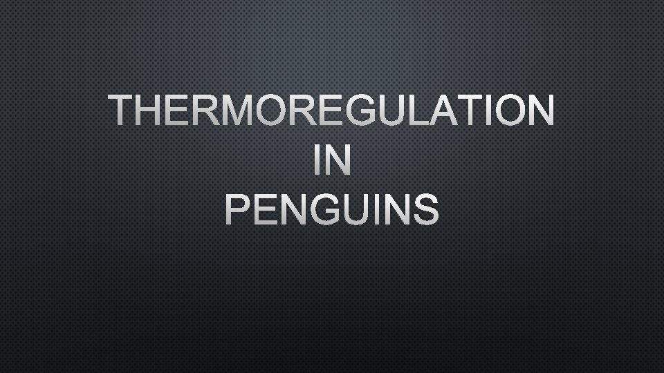 THERMOREGULATION IN PENGUINS 