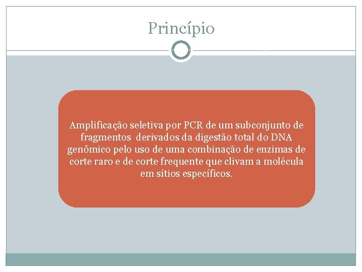 Princípio Amplificação seletiva por PCR de um subconjunto de fragmentos derivados da digestão total