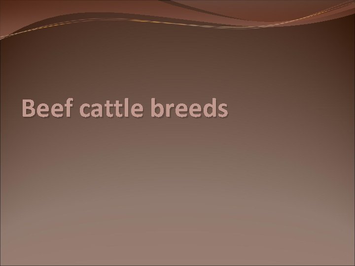 Beef cattle breeds 
