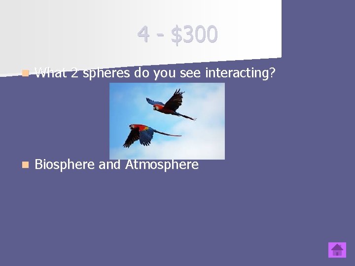 4 - $300 n What 2 spheres do you see interacting? n Biosphere and