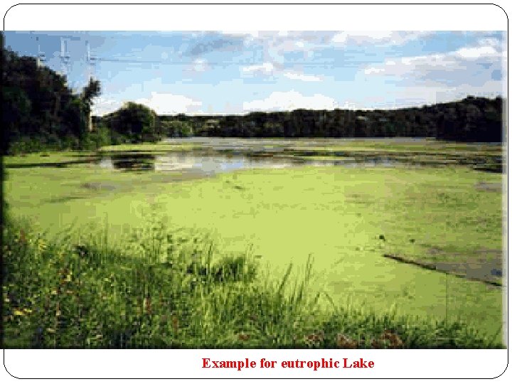 Example for eutrophic Lake 