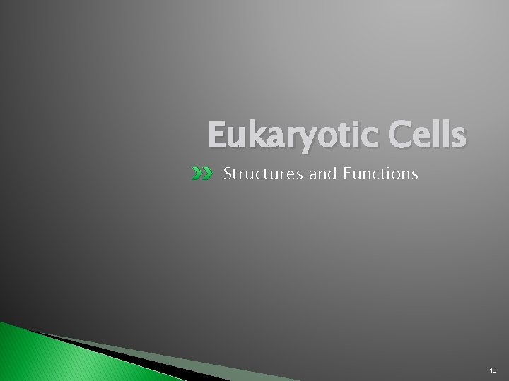 Eukaryotic Cells Structures and Functions 10 Eukaryotic Cells Structures and Functions 10