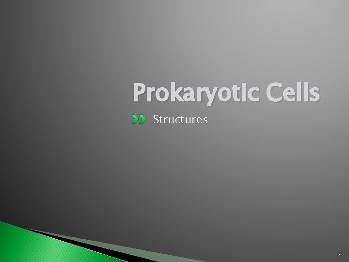 Prokaryotic Cells Structures 3 Prokaryotic Cells Structures 3