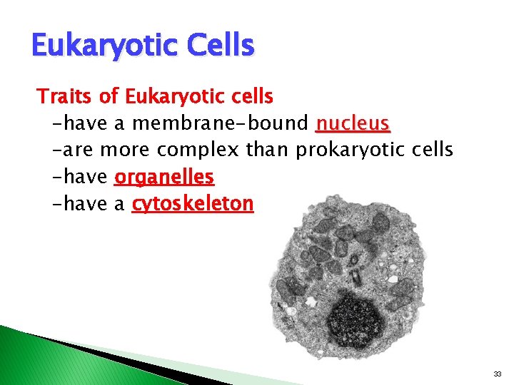 Eukaryotic Cells Traits of Eukaryotic cells -have a membrane-bound nucleus -are more complex than Eukaryotic Cells Traits of Eukaryotic cells -have a membrane-bound nucleus -are more complex than