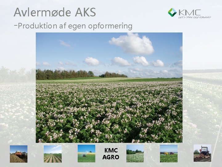 Avlermøde AKS -Produktion af egen opformering KMC AGRO 