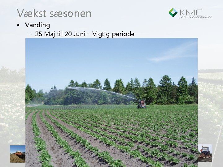 Vækst sæsonen • Vanding – 25 Maj til 20 Juni – Vigtig periode KMC
