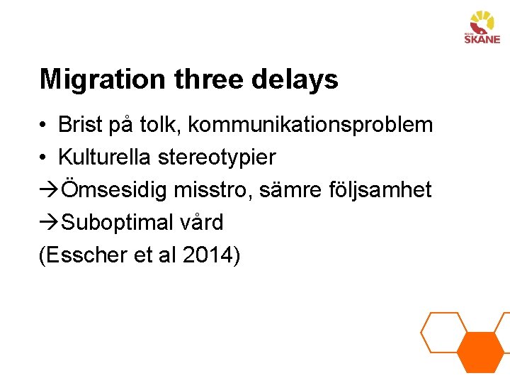Migration three delays • Brist på tolk, kommunikationsproblem • Kulturella stereotypier Ömsesidig misstro, sämre