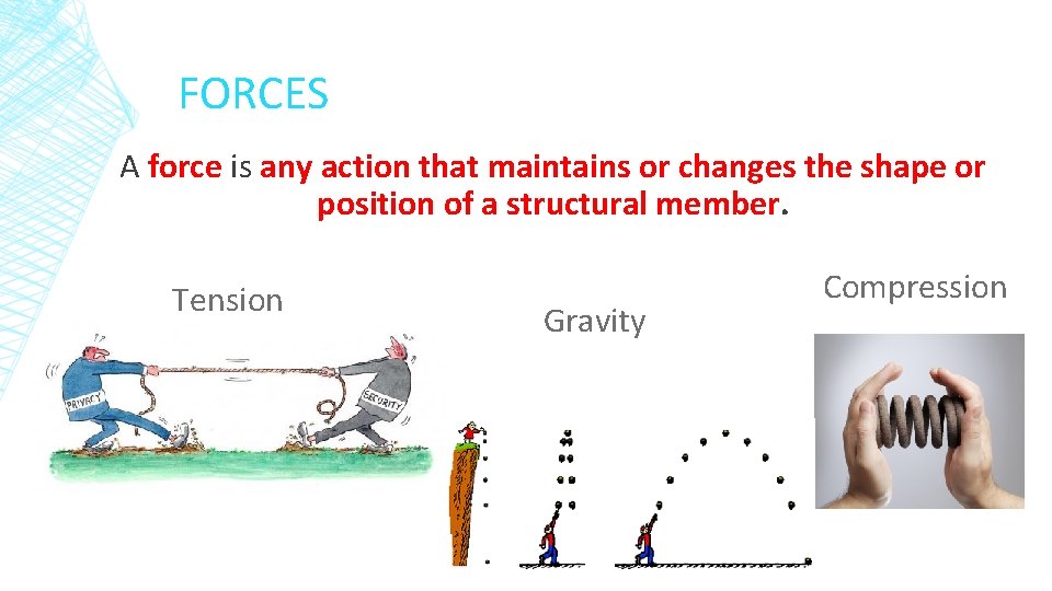 FORCES A force is any action that maintains or changes the shape or position