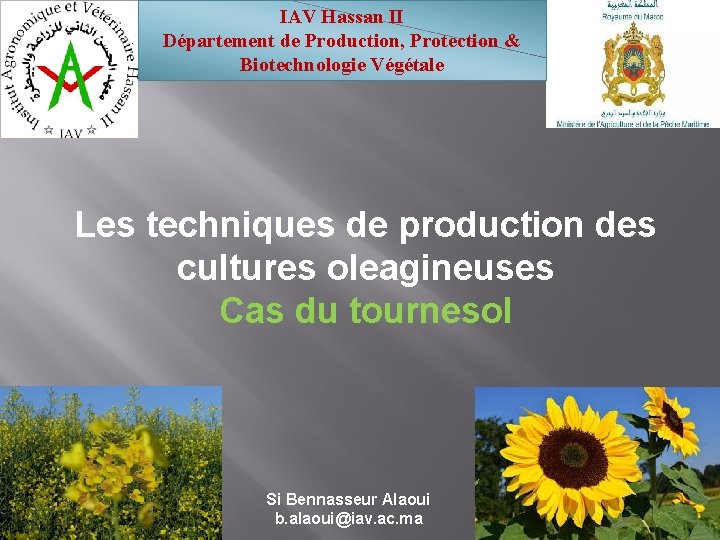 IAV Hassan II Département de Production, Protection & Biotechnologie Végétale Les techniques de production