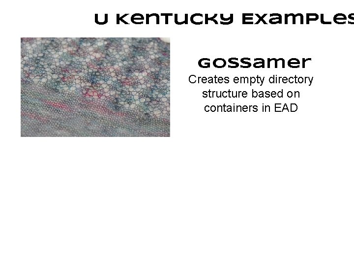 U Kentucky Examples Gossamer Creates empty directory structure based on containers in EAD 