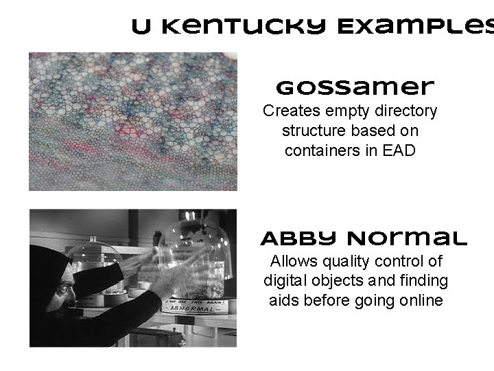 U Kentucky Examples Gossamer Creates empty directory structure based on containers in EAD Abby
