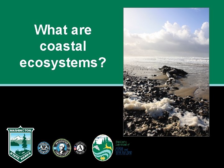 What are coastal ecosystems? What are coastal ecosystems?