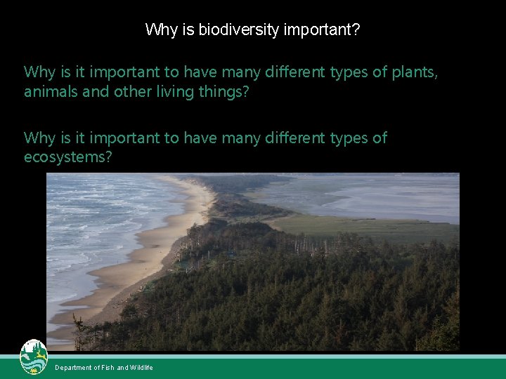Why is biodiversity important? Why is it important to have many different types of Why is biodiversity important? Why is it important to have many different types of