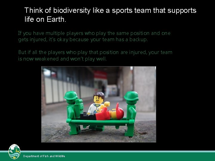 Think of biodiversity like a sports team that supports life on Earth. If you Think of biodiversity like a sports team that supports life on Earth. If you