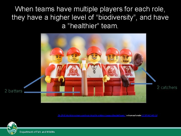 When teams have multiple players for each role, they have a higher level of When teams have multiple players for each role, they have a higher level of