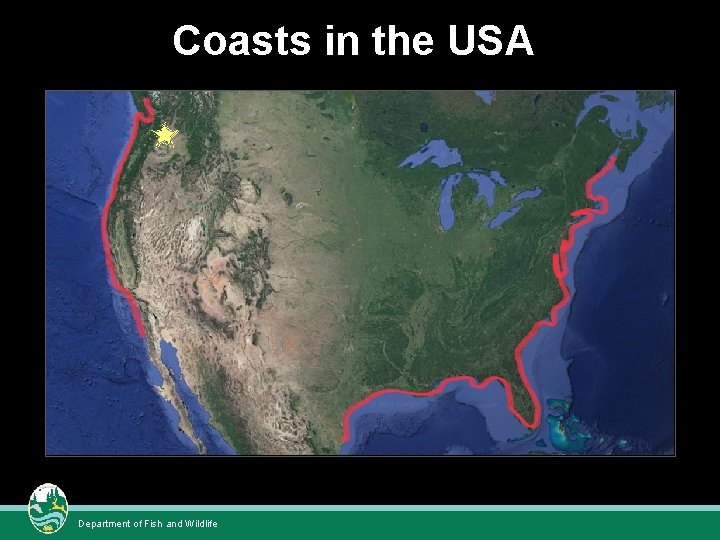 Coasts in the USA Department of Fish and Wildlife Coasts in the USA Department of Fish and Wildlife