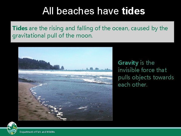 All beaches have tides Tides are the rising and falling of the ocean, caused All beaches have tides Tides are the rising and falling of the ocean, caused