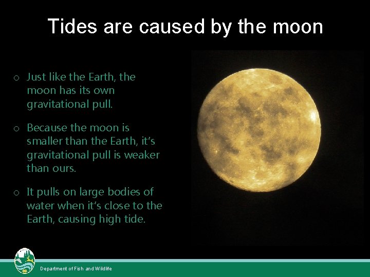 Tides are caused by the moon o Just like the Earth, the moon has Tides are caused by the moon o Just like the Earth, the moon has