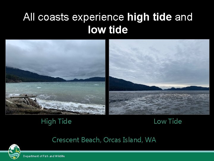 All coasts experience high tide and low tide High Tide Low Tide Crescent Beach, All coasts experience high tide and low tide High Tide Low Tide Crescent Beach,