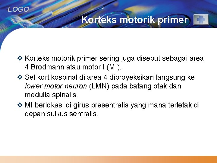 LOGO Korteks motorik primer v Korteks motorik primer sering juga disebut sebagai area 4