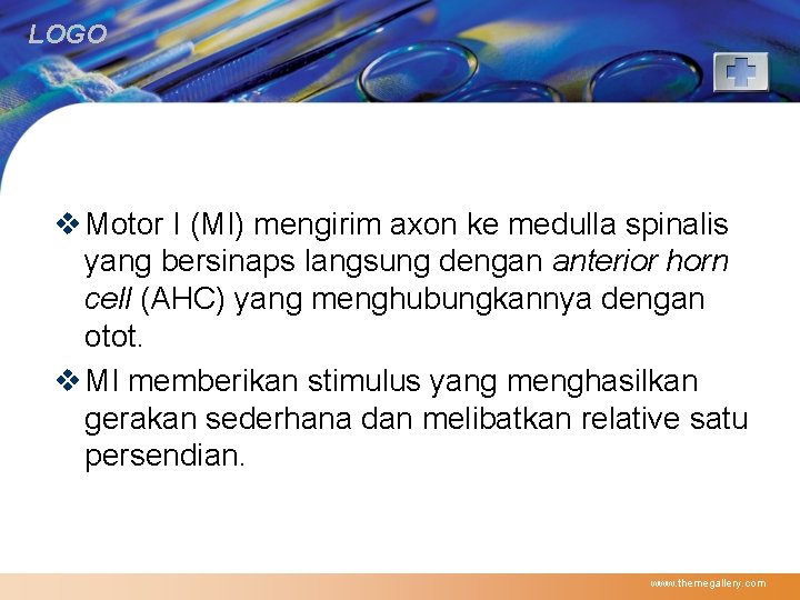 LOGO v Motor I (MI) mengirim axon ke medulla spinalis yang bersinaps langsung dengan