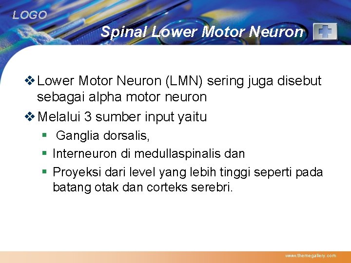 LOGO Spinal Lower Motor Neuron v Lower Motor Neuron (LMN) sering juga disebut sebagai