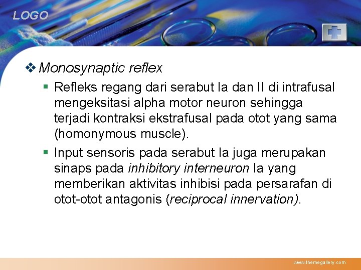 LOGO v Monosynaptic reflex § Refleks regang dari serabut Ia dan II di intrafusal