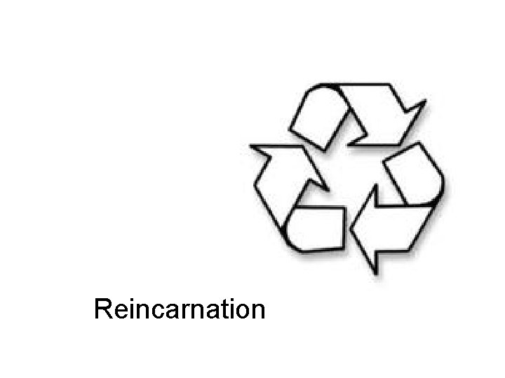 Reincarnation 