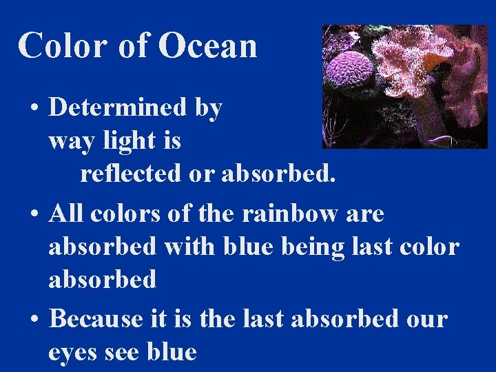 Color of Ocean • Determined by the way light is reflected or absorbed. •