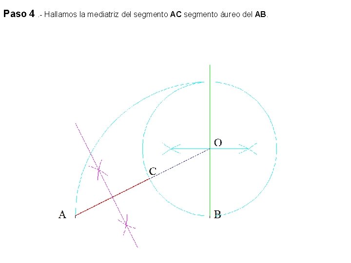 Paso 4. - Hallamos la mediatriz del segmento AC segmento áureo del AB. 