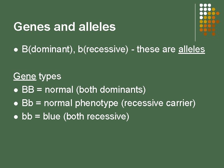 Genes and alleles l B(dominant), b(recessive) - these are alleles Gene types l BB