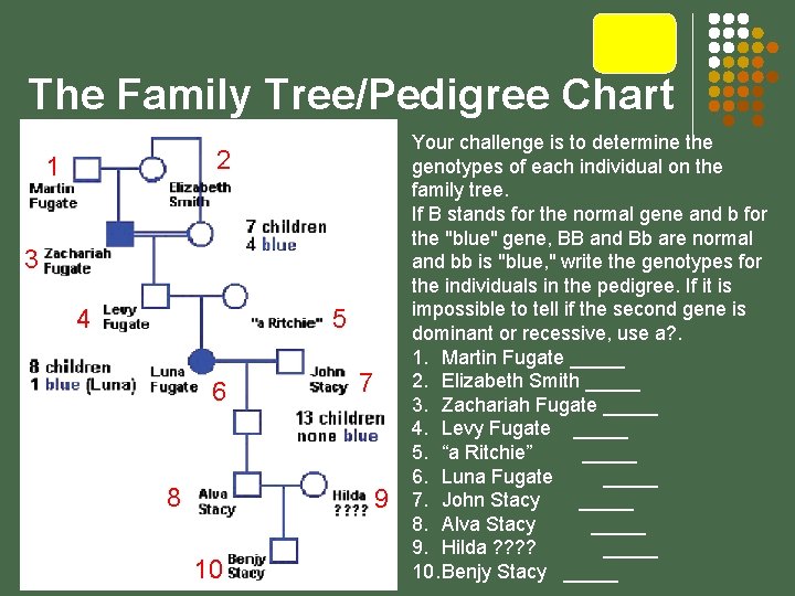 The Family Tree/Pedigree Chart 2 1 3 5 4 6 8 7 9 10