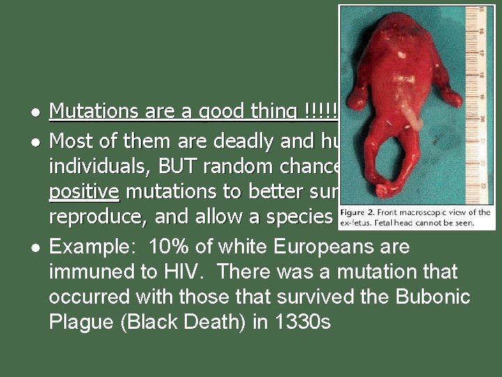 l l l Mutations are a good thing !!!!! Most of them are deadly