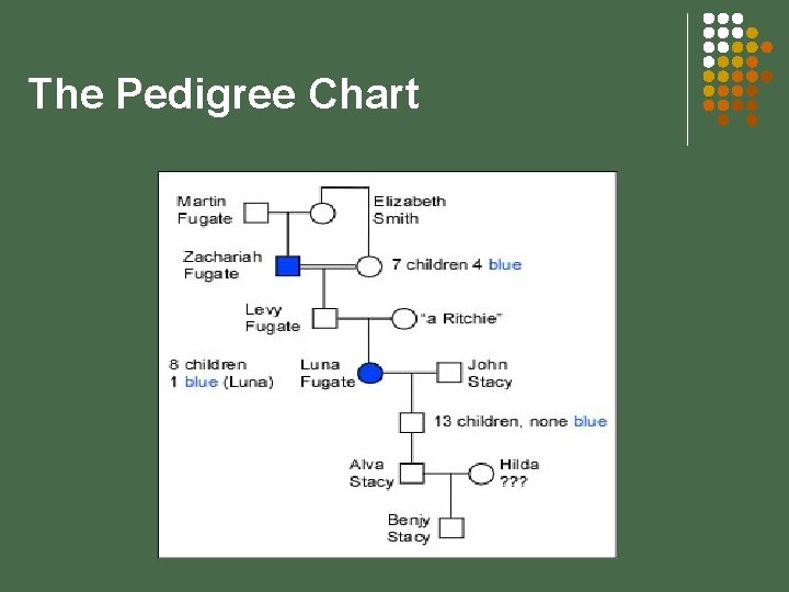 The Pedigree Chart 