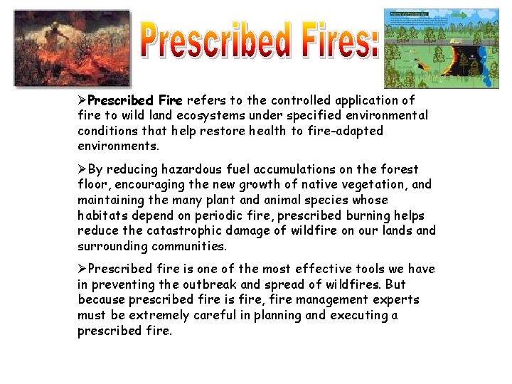 ØPrescribed Fire refers to the controlled application of fire to wild land ecosystems under