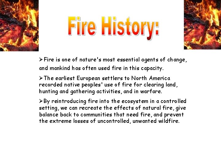 ØFire is one of nature's most essential agents of change, and mankind has often