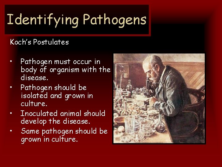 Identifying Pathogens Koch’s Postulates • • Pathogen must occur in body of organism with