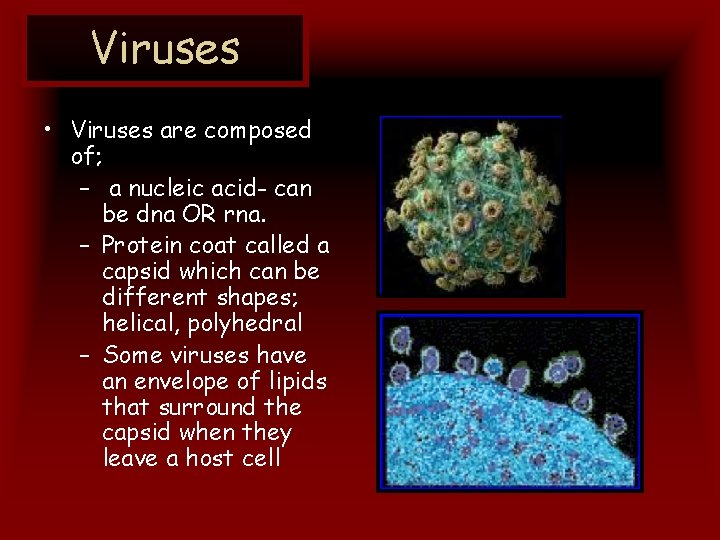 Viruses • Viruses are composed of; – a nucleic acid- can be dna OR