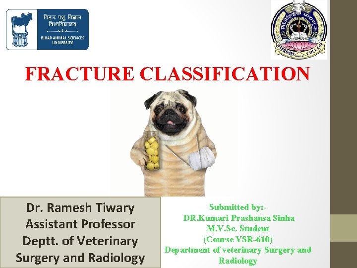 FRACTURE CLASSIFICATION Dr. Ramesh Tiwary Assistant Professor Deptt. of Veterinary Surgery and Radiology Submitted