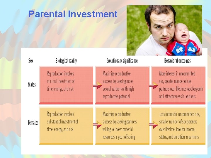 Parental Investment 