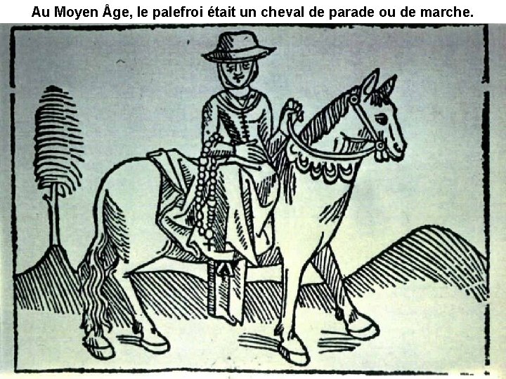 Au Moyen ge, le palefroi était un cheval de parade ou de marche. 