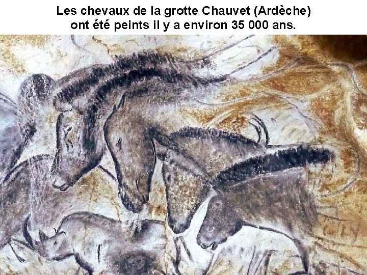 Les chevaux de la grotte Chauvet (Ardèche) ont été peints il y a environ