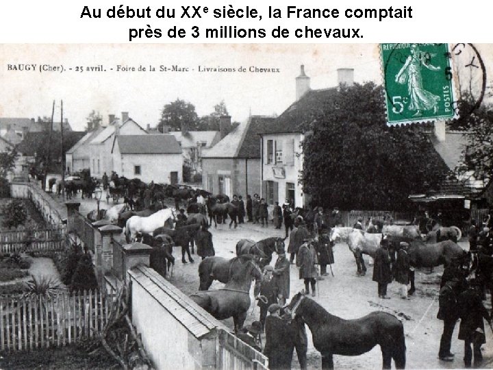 Au début du XXe siècle, la France comptait près de 3 millions de chevaux.